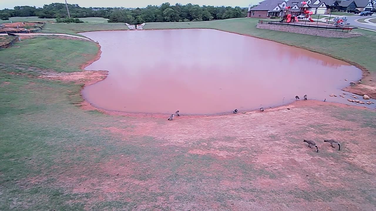 The Pond