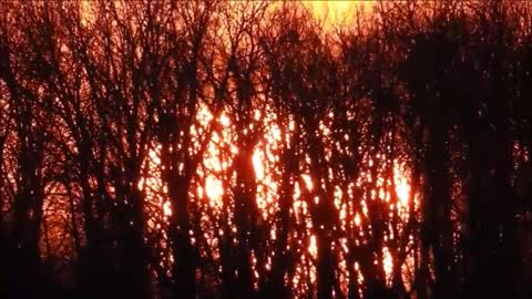 Gorgeous Effects In Sky From Sun In Trees