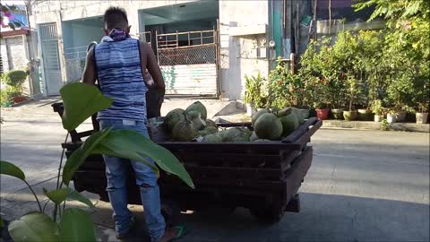 Philippines Buko (Young Coconut)