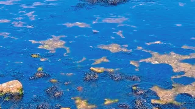 beautiful landscape sea and reef