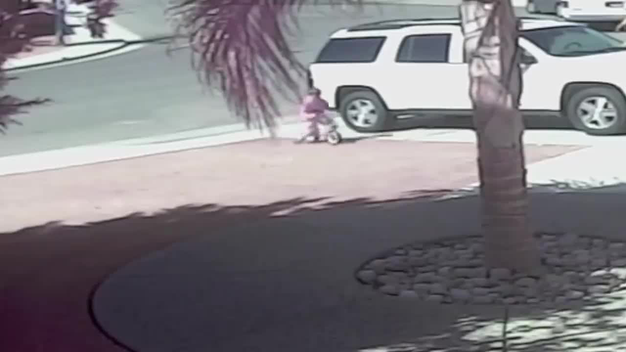 Cat Saves Toddler From Dog Attack | Unbeliveable action!