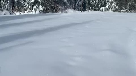 Buddy snow ball slowmo