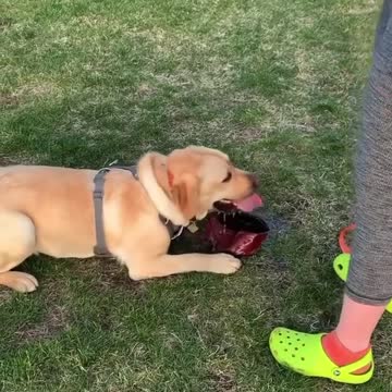 #Repost from @thelabslife using our waxed