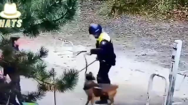 Even police dogs can’t stand police brutality.