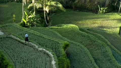 Indonesian natural beauty