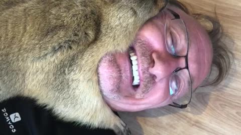 Marmot Cuddles its Man