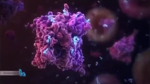 MRNA VACCINE