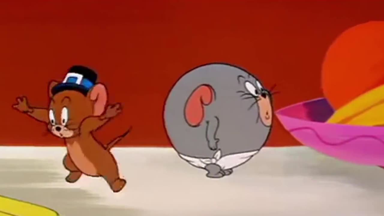 This is the real cat and mouse