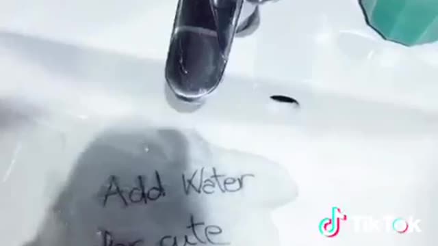 How to get a cute dog? Just flip the switch