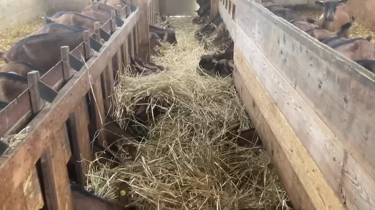 Agrinido cascina bagaggera