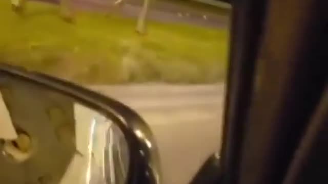 Moose casually strolls down the middle of an alaskan road