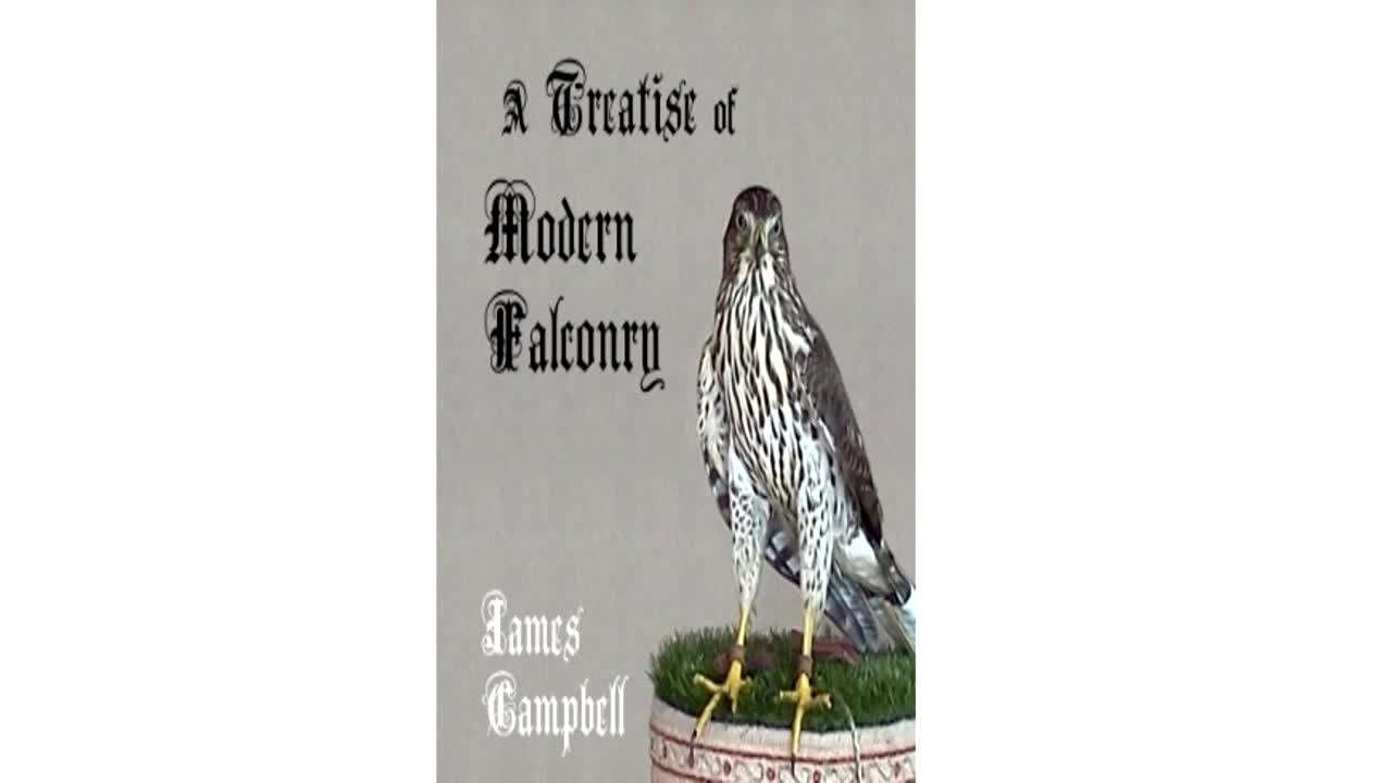 A Treatise of Modern Falconry #02