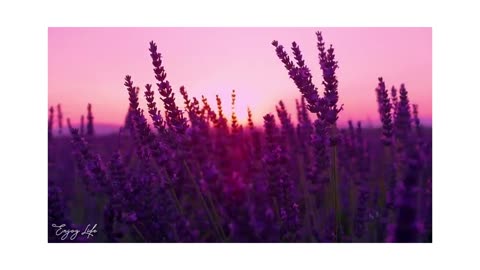 Music for relaxation