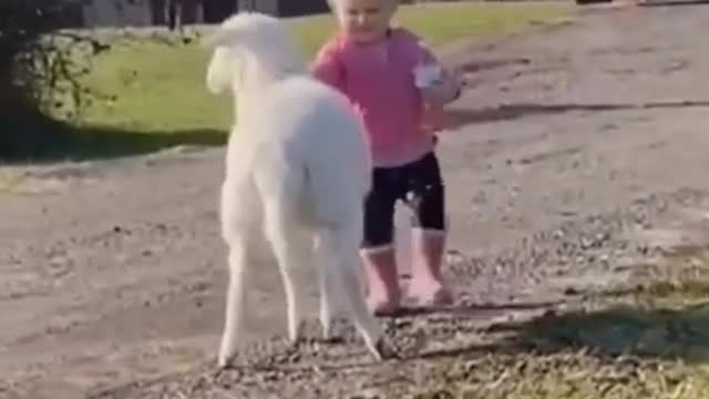 5.watch till end 🤣🤣🤣 from tiktok @libradadtopaliany #shorts