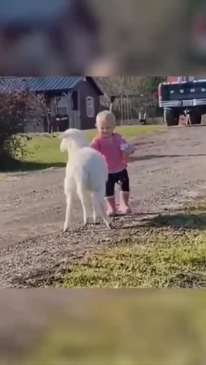 5.watch till end 🤣🤣🤣 from tiktok @libradadtopaliany #shorts