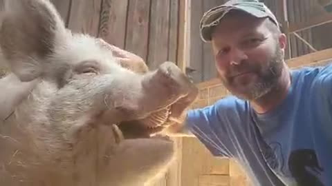 Thaddeus is such a big, sweet boy.