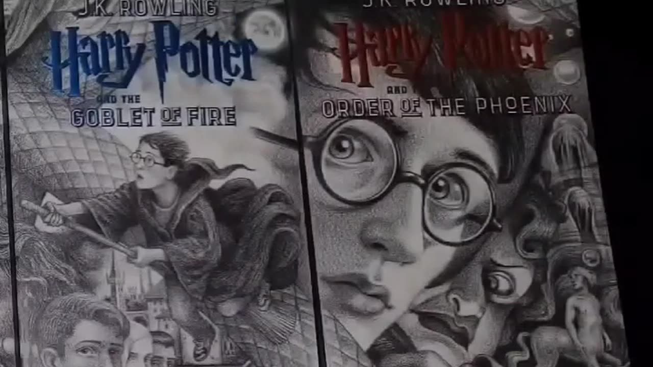 Harry Potter Brian Selznick Edition! #harrypotter #jkrowling #wizardingworld #bookcollecting