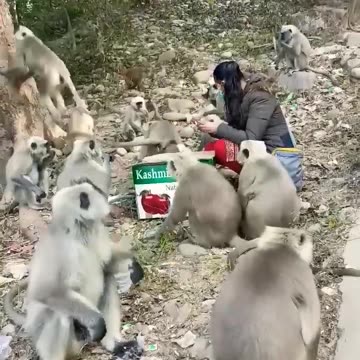 इनको खिलाना आसान नहीं 🐒