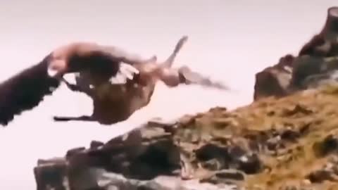 O no