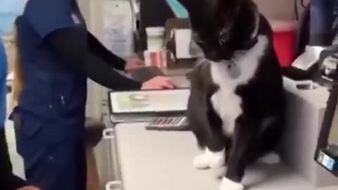Aww So Funny