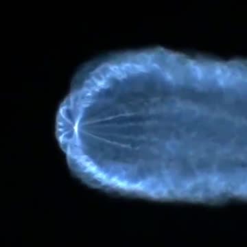 One two blue and Freddie are coming for you