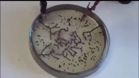 コロナ遺伝子ワクチンの成分酸化グラフェンが電磁波で操れる証拠映像