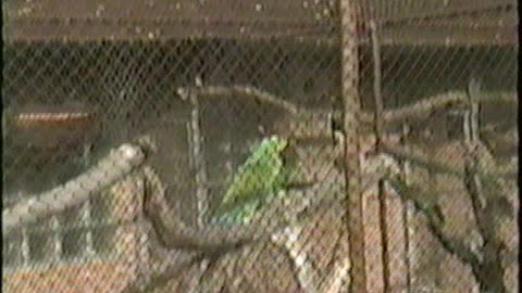 1994 Europe Trip - Woodbury Chorale - Part 4