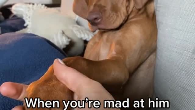 When you're mad at him but he starts playing with your hair