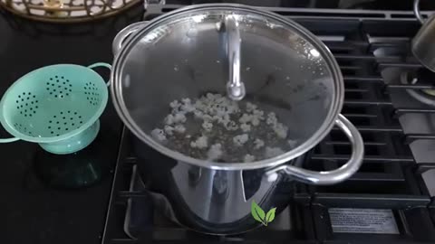 mad soup