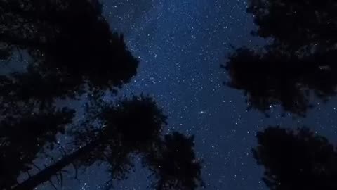 Secret of the universe