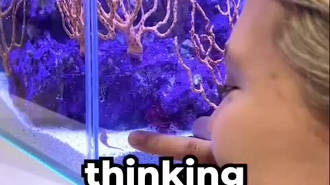 This Seahorse Moves at 0.0009mph 🥺