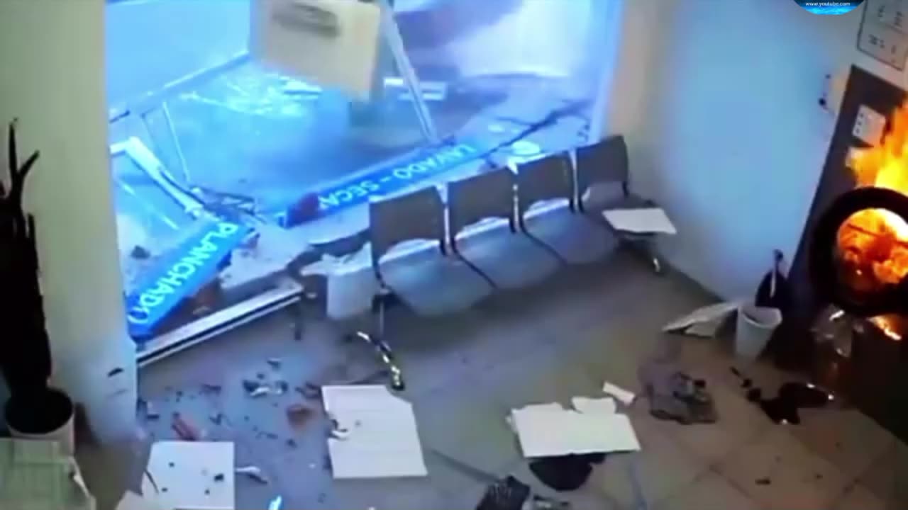 The dog broke the glass door amazing and funny video full watch