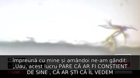 Conținutul vaccinurilor: creaturi cu tentacule, particule de grafen, hidrogel și altele