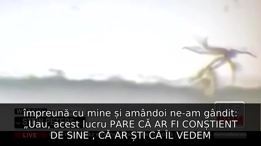 Conținutul vaccinurilor: creaturi cu tentacule, particule de grafen, hidrogel și altele