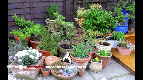 The Only Guide for 7 Health Benefits of Gardening - Good Housekeeping