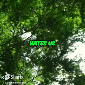 Overcome Shame and Judgement #forgiven #grace #love #truth #dailybible #matthew25