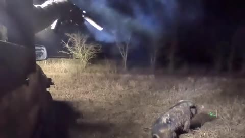 HOGageddon 🐗🐷 10 minutes of dudes hunting feral hogs with Machine Guns & rifles