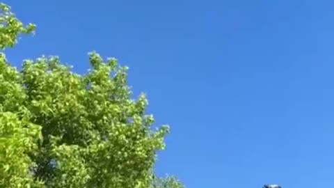 Un signore vestito di bianco che rasserena gli animi e anche i cieli.