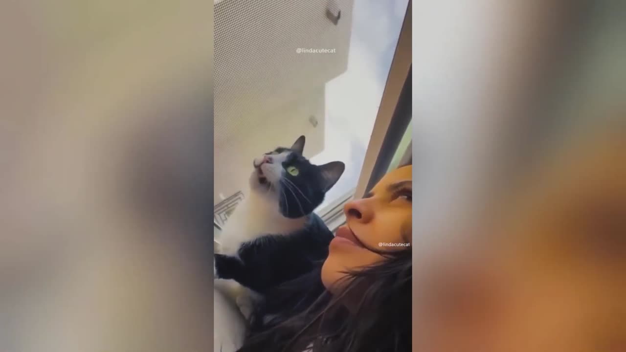 funny animal videos 2023