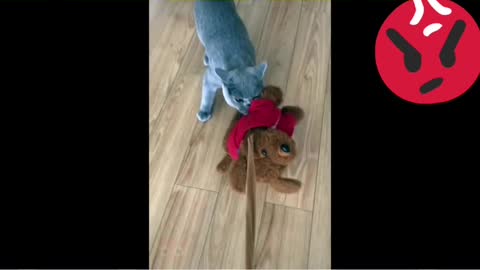 Don't take my toy away from me