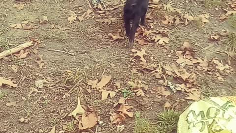 Rudy the cutie