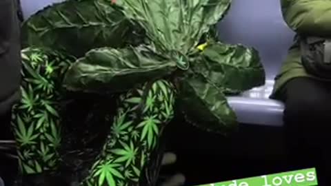 Old man dressed like giant weed leaf