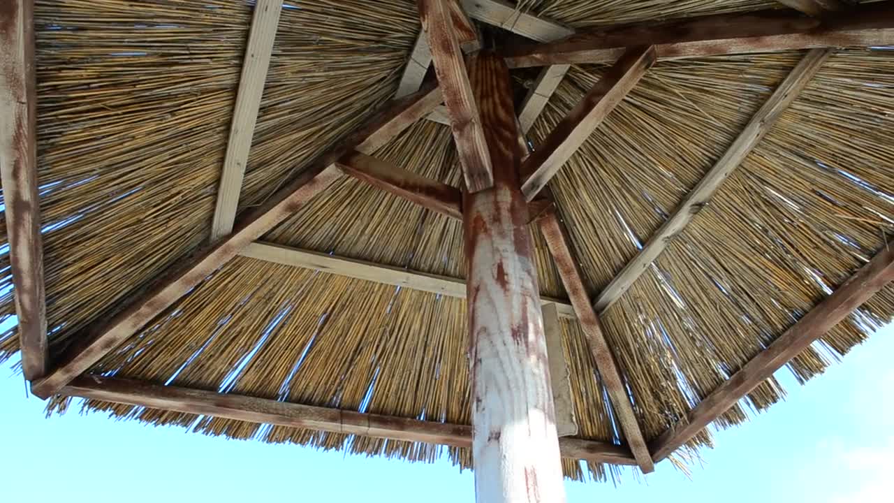 Palm roof on a sunny day