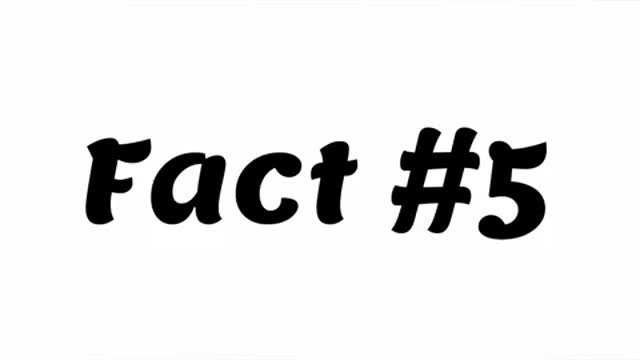 Some real fact in the world