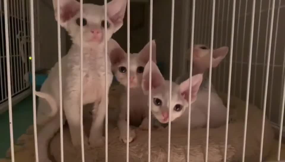 One last group photo