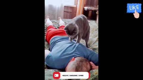 Animals Funny #4