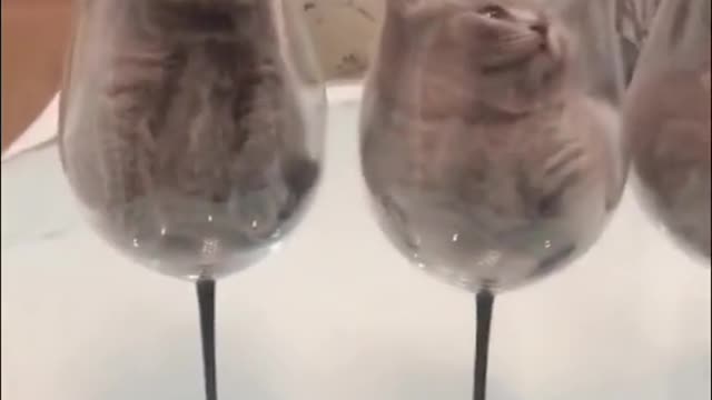 Cutest baby animals Videos Compilation Cute moment of the Animals episode : 8