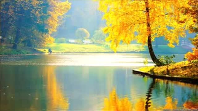 Forest Birds | Ringtones for Android | Animal Ringtones 6