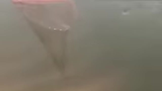 How to caughting many fish in 2mins/amazing
