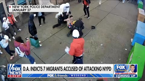 Fox News - What does it take to get deported?